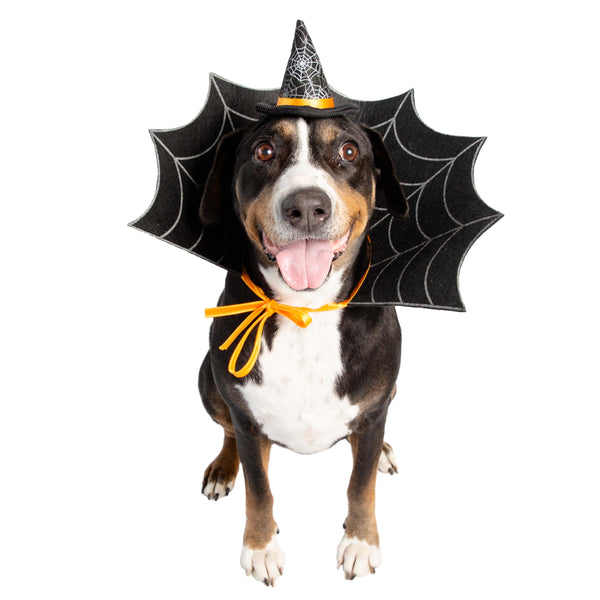 Witch Hat and Collar Set Dog & Cat  Costume
